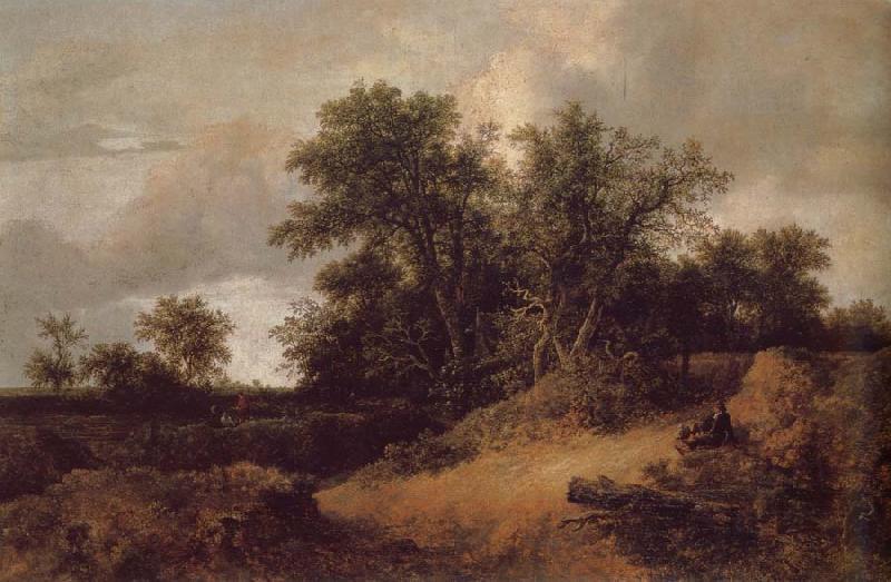 Jacob van Ruisdael Dune Landfscape oil painting picture